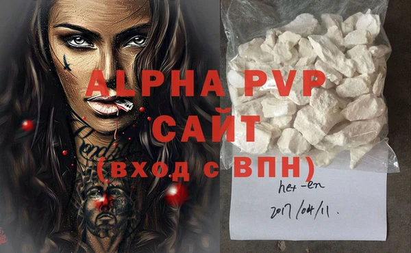 дживик Няндома