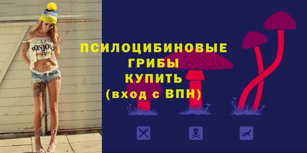 дживик Няндома