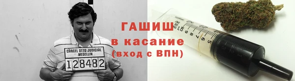 СК Новозыбков