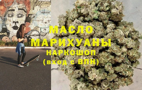дживик Няндома