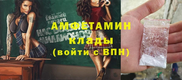 дживик Няндома