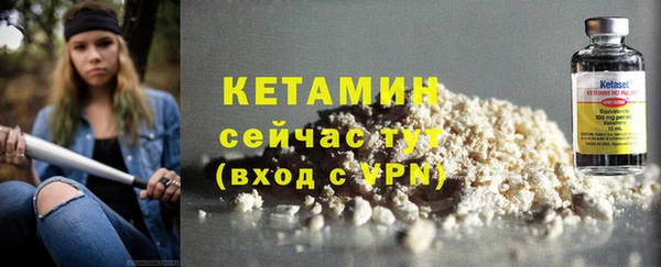 дживик Няндома