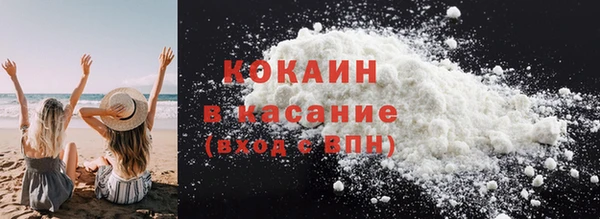 СК Новозыбков