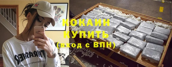 дживик Няндома