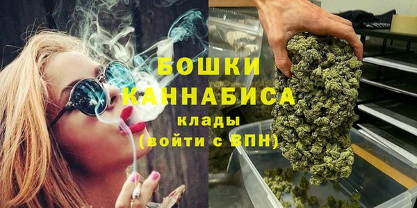 СК Новозыбков