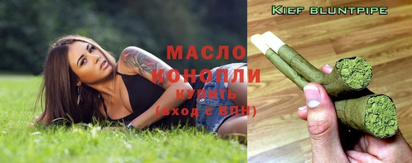 СК Новозыбков